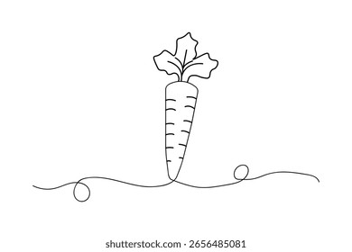 Carrot continuous one line drawing in minimalist style isolated on white background illustration