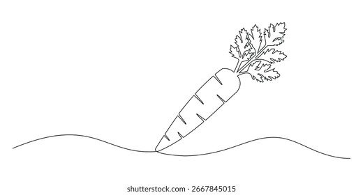 Karotte durchgehende einzeilige Zeichnung der Vektorgrafik. Wachsende Karottenpflanze minimalistisch schwarze lineare Skizze einzeln auf weißem Hintergrund. Handgezeichneter bearbeitbarer Strich