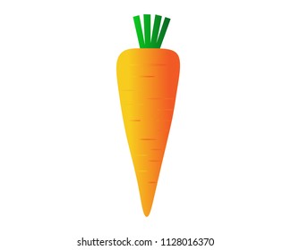 carrot for cooking isolated on white background, paper art style : vector