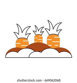 carrot cultivation isolated icon