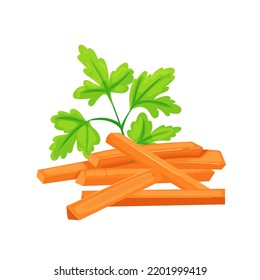 carrot cut cartoon. vegetable food, orange ingredient, raw slice, healthy organic vitamin, diet carrot cut vector illustration