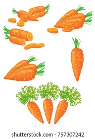 Carrot cut cook vector