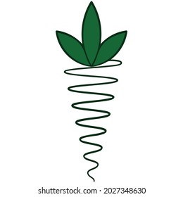 Carrot. Delicious root vegetable drawn by line. Fluffy foliage. Vector icon. Green logo. Vegan food. A healthy vegetable. Harvesting. Carrot pictogram. Organic product. Isolated white background. 