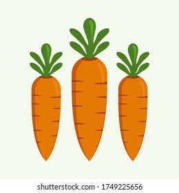 
carrot design with flat style. Carrot illustration with cartoon style. vegetable theme