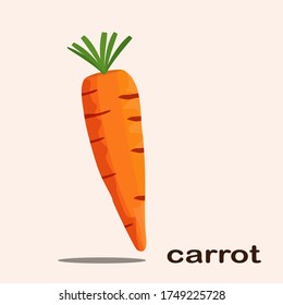 
carrot design with flat style. Carrot illustration with cartoon style. vegetable theme