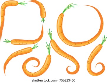 carrot design hello