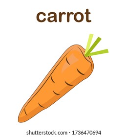Carrot, dnt food, isolated object icon. Carrot flat vector illustration, logo. Vegetable harvest from the garden. Organic food.
