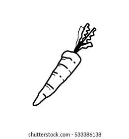 Carrot Doodle