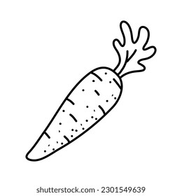 Carrot Doodle, a hand drawn vector doodle illustration of a fresh carrot.