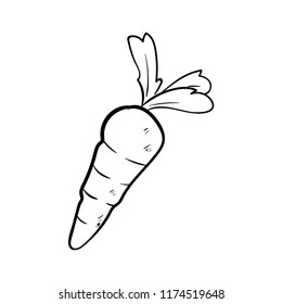 carrot doodle icon vector 