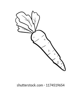 carrot doodle icon vector 