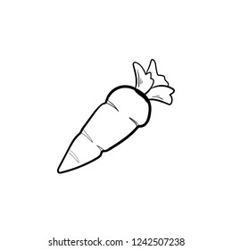 carrot doodle icon vector 