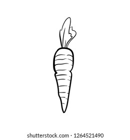 carrot doodle icon vector drawing 