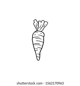 carrot doodle icon vector hand drawing 