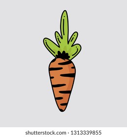 Carrot in doodle style