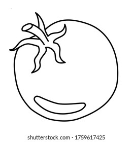 Carrot. Doodle style. Outline. Single element of vegetable set. Coloring book. 