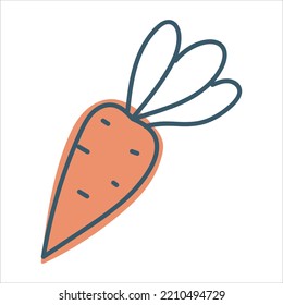 Carrot in doodle style. Ripe root crop. Autumn vegetables. Vector graphics isolated on white background.
