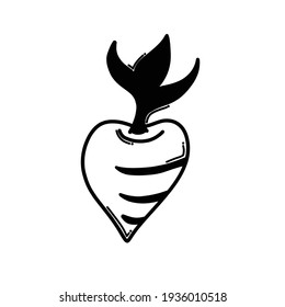 carrot doodle vector icon. Drawing sketch illustration hand drawn line.