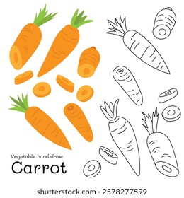 Carrot doodle vegetable hand drawn outline and colors for kid, Package, labels Design element. Vector illustration