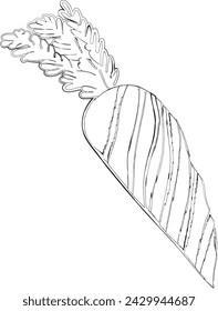 Carrot drawing doodle vegetable design.