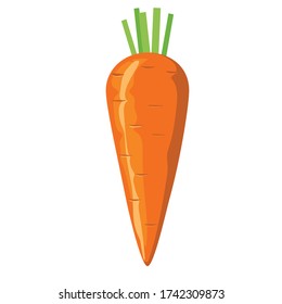 carrot drawing on a white background