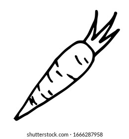 Carrot for Easter design, greeting cards, posters, recipe, menu, culinary design. Doodle, black outline, vector illustration.