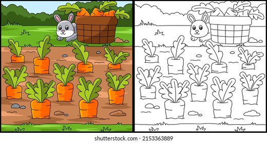 Carrot Field Coloring Page Colored Illustration