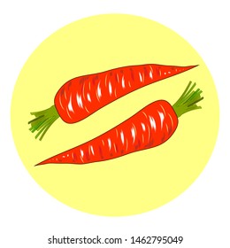 Carrot in flat design on white background. Vector