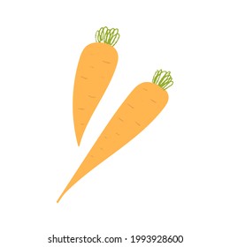 Carrot. Flat hand drawn textured illustration of garden orange vegetables. 