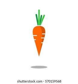 Carrot flat icon