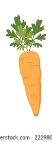 Carrot flat icon Borscht preparation Soup ingredients