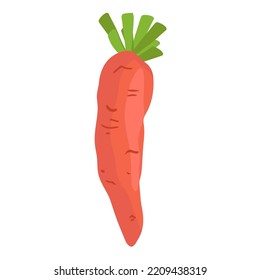 Carrot flat icon isolated on white. hand drawing