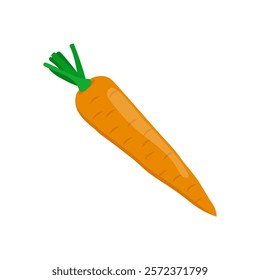 Carrot Flat Icon, Vector illustration