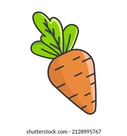 carrot flat icon vector isolated