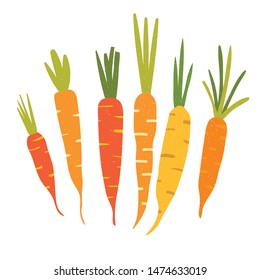 Carrot in flat style and isolated on white background. Vector illustration.