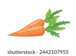 Carrot in flat style on a white background