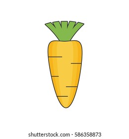Carrot flat vector