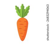 Carrot. Flat vector illustration of carrot on white background