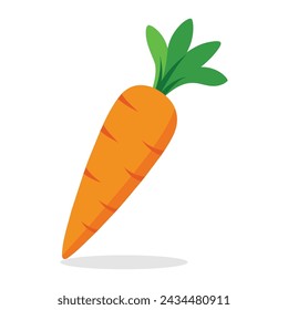 Carrot flat vector illustration on white background