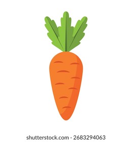 Carrot. Flat vector illustration of carrot on white background