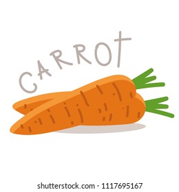 Carrot flat vector illustration, orange vegetable food sign healthy concept
