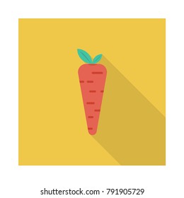 carrot food vegetable 