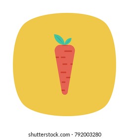 carrot food vegetable 