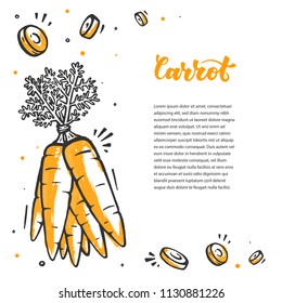 Carrot frame in hand drawn style. Raw vegan food. Healthy nutrition in vector style.