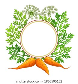 carrot frame on white background