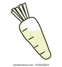 carrot fresh isolated icon