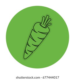 carrot fresh isolated icon