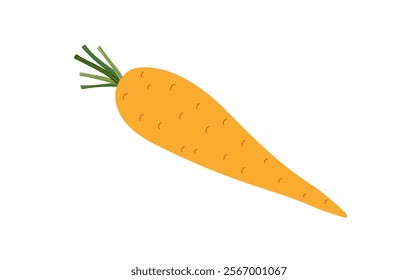 Carrot fresh orange vegetable simple hand drawn vector illustration, healthy organic food concept, Easter holiday celebration doodle element, flat style image for menu, recipe design