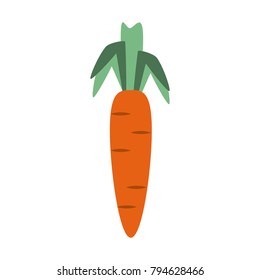 Carrot fresh vegetable
