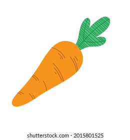 carrot fresh vegetable healthy food